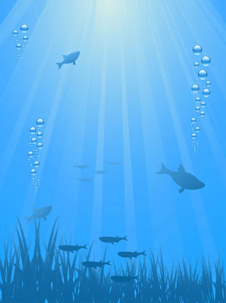 Sea world background — Stock Vector