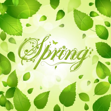 lente landschapsmening