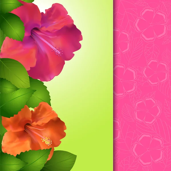 Borda do painel de flores do hibisco —  Vetores de Stock