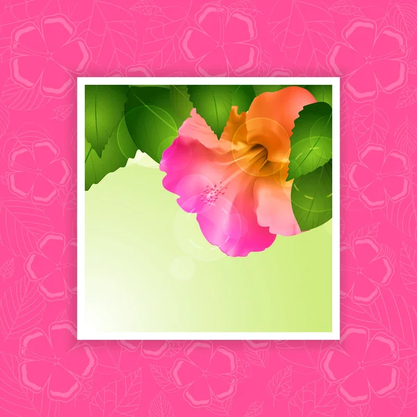 Hibiscus flower border on pink — Stock Vector