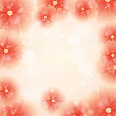 turuncu çiçek arkaplanı