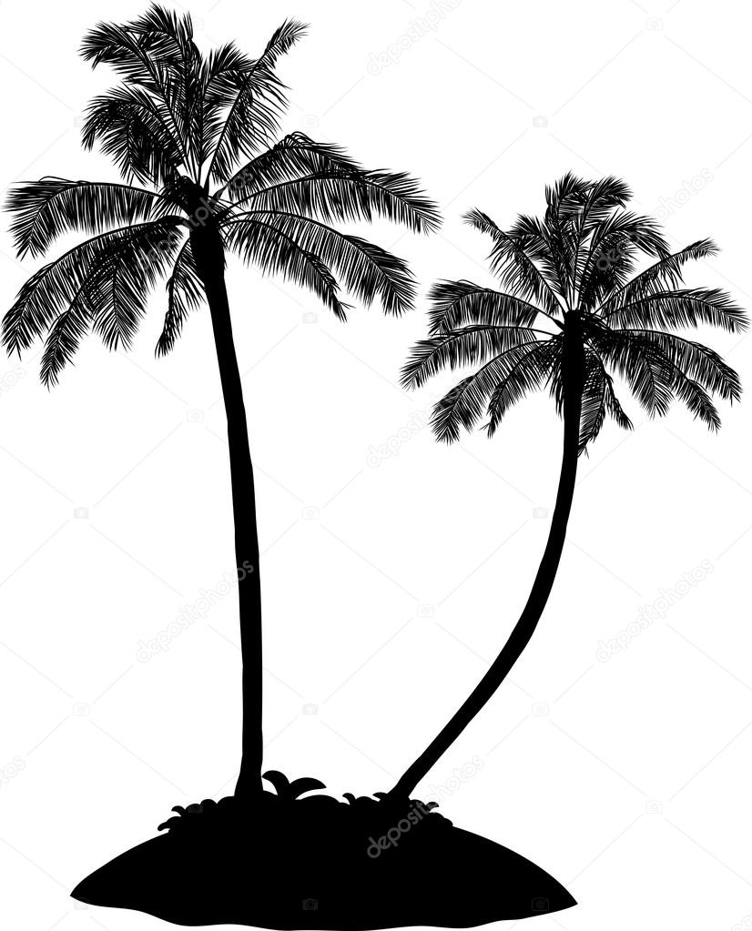 palm tree silhouette on white