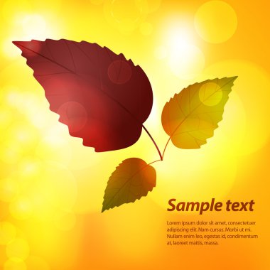 örnek metin ile sonbahar yaprak arka plan