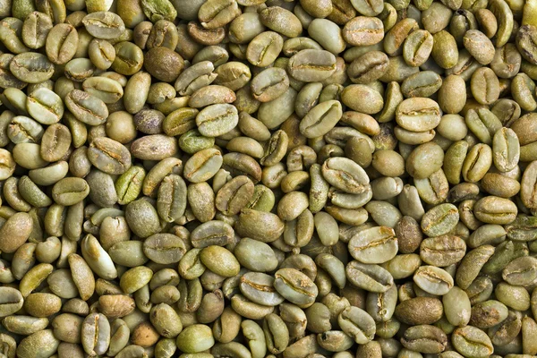 Granos de café verdes — Foto de Stock
