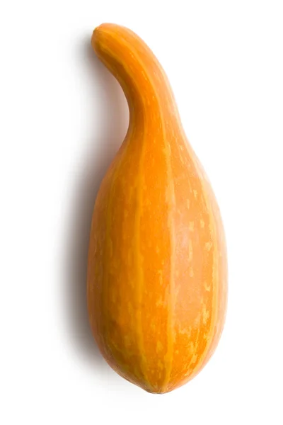 Decorative pumpkin — Stock Photo, Image