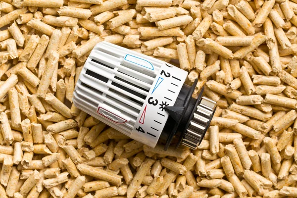 Wooden pellets with thermostat — Stock Photo, Image