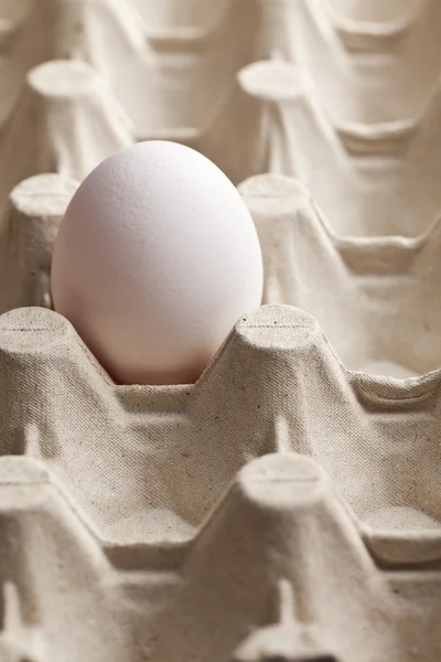 White egg in carton — Stock Photo, Image