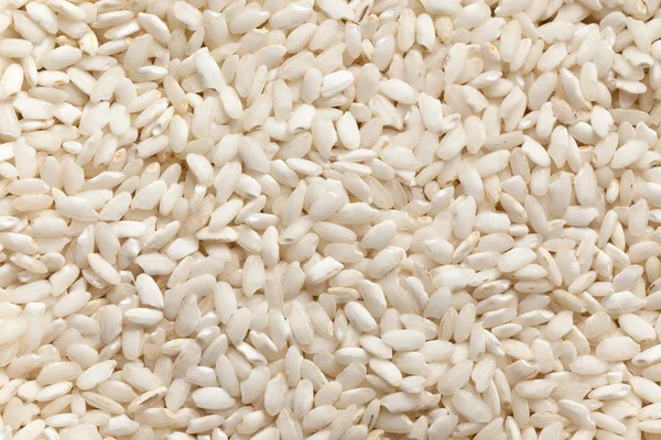 Arroz arborio — Foto de Stock