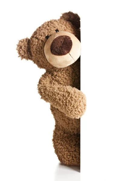 Teddy bear achter een wit bord — Stockfoto