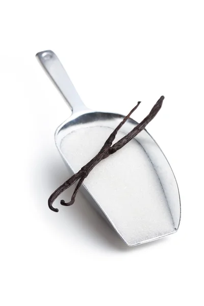 Vanilla pods and sugar on scoop — Stock Photo, Image