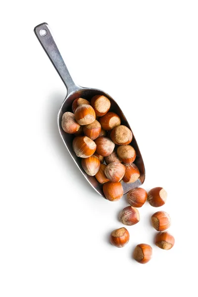 Hazelnuts in metal scoop — Stock Photo, Image