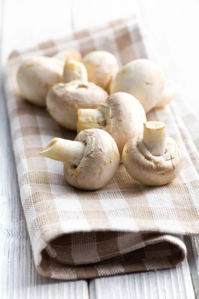 Cogumelos de champignon — Fotografia de Stock