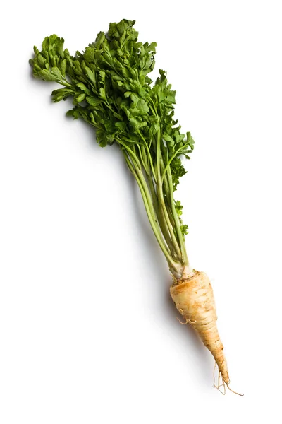 Fresh parsnip — Stock Photo, Image