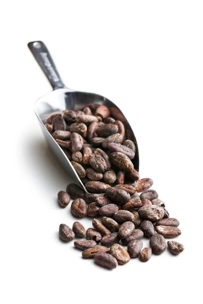 Cocoa beans in scoop — Stock Photo, Image