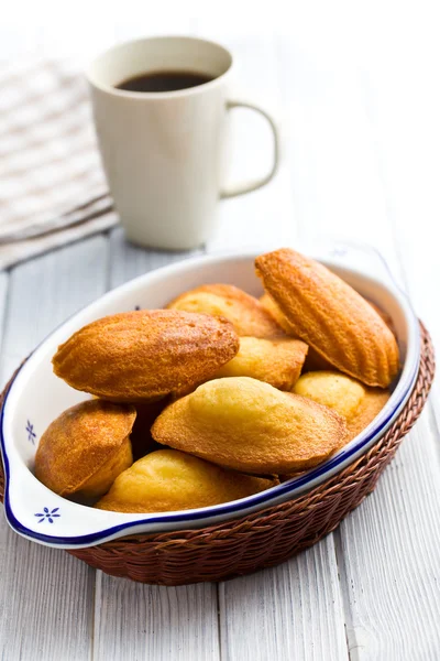 Biscuits à la madeleine sucrée — Photo