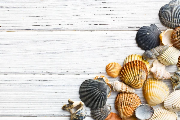 Conchas do mar na mesa de madeira branca — Fotografia de Stock