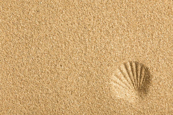 Muschel im Sand eingeprägt — Stockfoto