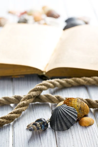 Морські мушлі і стара книга — стокове фото