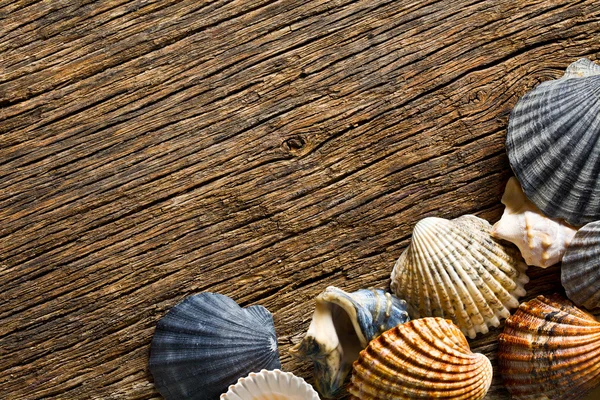 Conchas do mar na velha mesa de madeira — Fotografia de Stock