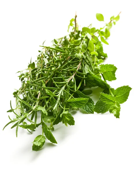 Various herbs — Stock Photo, Image