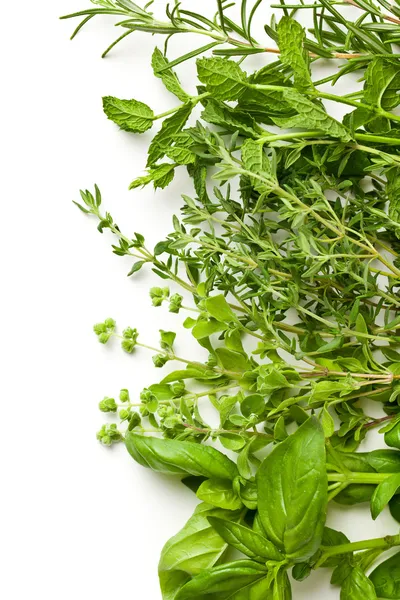 Various herbs — Stock Photo, Image