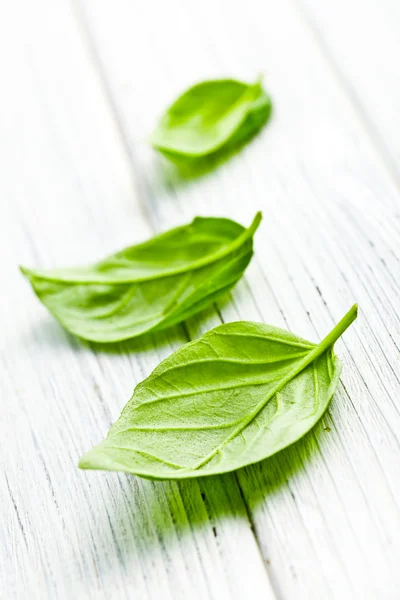 Basil leaves on kitchen table — Stock Photo, Image