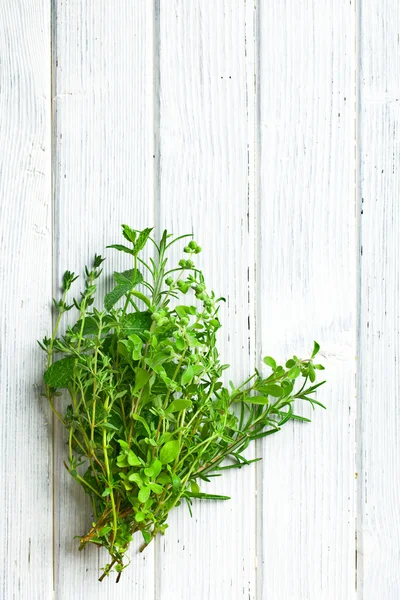 Various herbs — Stock Photo, Image