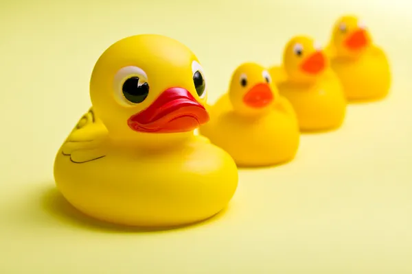 Patos de banho amarelos — Fotografia de Stock