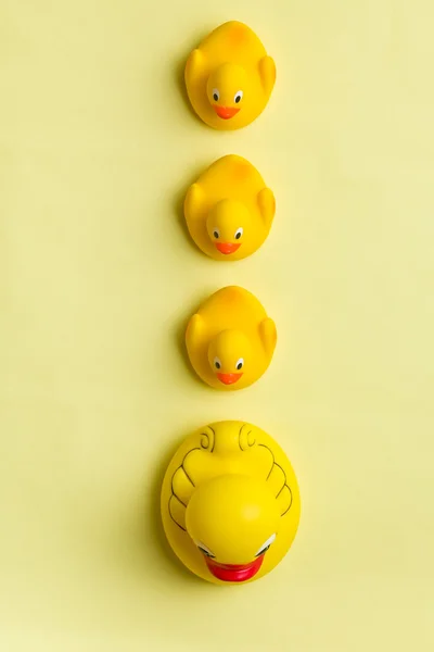 Patos de banho amarelos — Fotografia de Stock