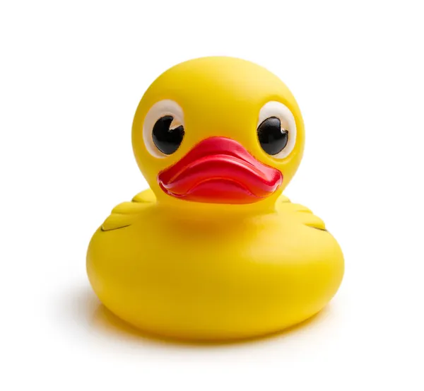 Pato banho amarelo — Fotografia de Stock