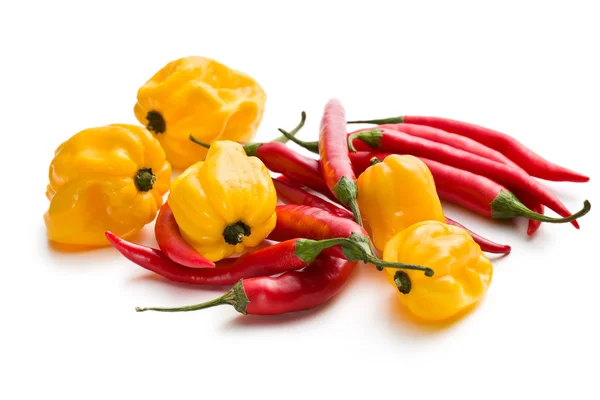 Červené chilli papričky a žlutou habanero — Stock fotografie