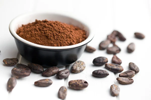 Cacaopoeder en cacaobonen — Stockfoto