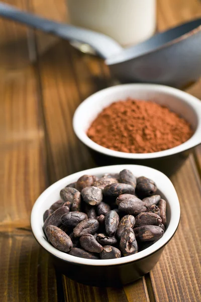 Cocoa beans and cocoa powder in bowls — Stock Photo, Image