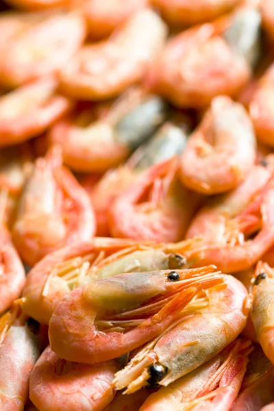 Os camarões. — Fotografia de Stock