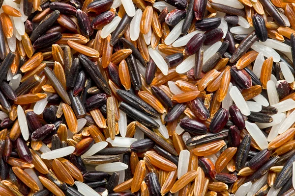 Textuur van gemengde rijst — Stockfoto