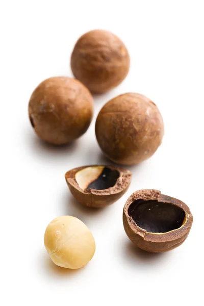 Frutos secos de macadamia —  Fotos de Stock