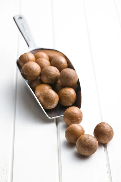 Macadamia nuts on scoop — Stock Photo, Image