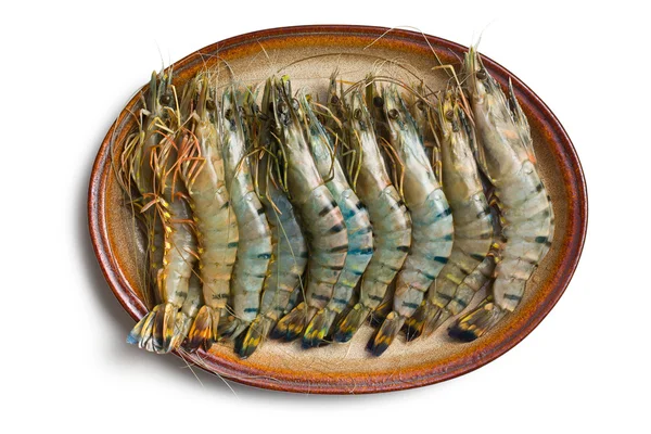 Crevettes tigrées sur plaque — Photo