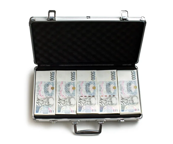 Dinero checo en caja de aluminio — Foto de Stock