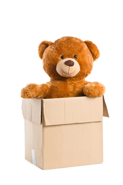 Плюшевий ведмідь у паперовій коробці — стокове фото