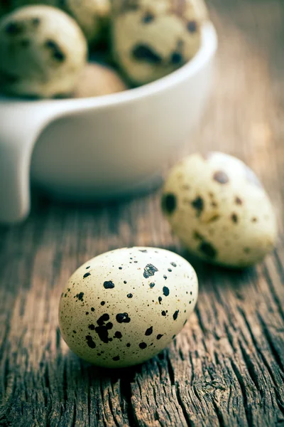 Viiriäisen munat — kuvapankkivalokuva