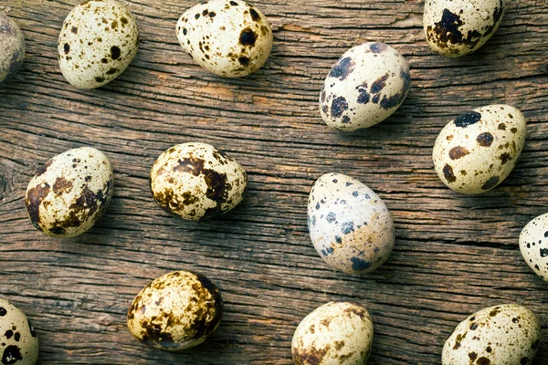 Top view of quail eggs — Stock Photo, Image