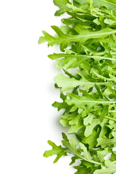 Fresh arugula leaves — Stock Photo, Image