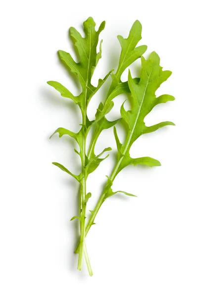 Fresh arugula leaves — Stock Photo, Image