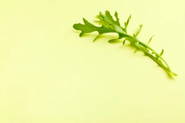 아루 굴라 잎 — 스톡 사진