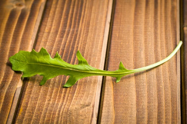 Foglia di rucola fresca — Foto Stock