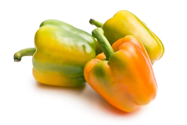 Pimentos coloridos — Fotografia de Stock