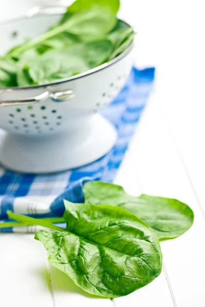 Green spinach leaves — Stock Photo, Image