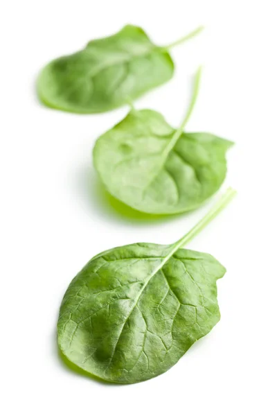 Green spinach leaves — Stock Photo, Image