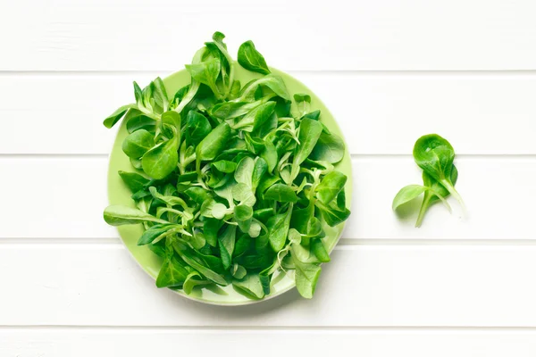 Ensalada de maíz, lechuga de cordero — Foto de Stock